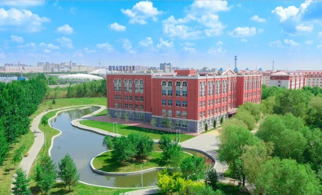 北国雪韵，黑龙江的冰封雪飘风光