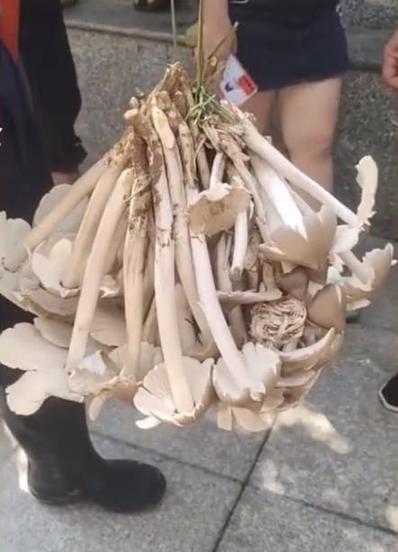 贵州，探索与学习之旅指南