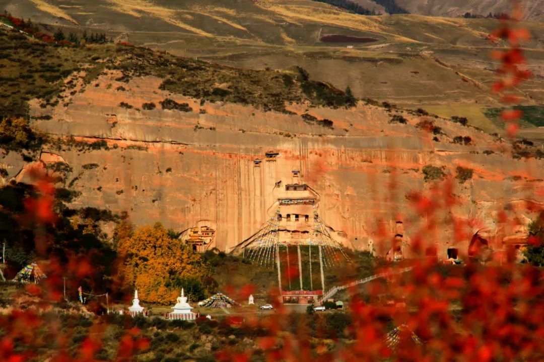 陇上花开情谊浓——甘肃风情画卷